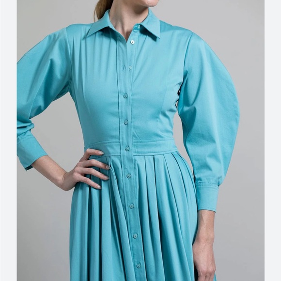Alexis Elegant Blue Button-Up Dress - Picture 1 of 2